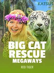 Big Cat Rescue Megaways game cover